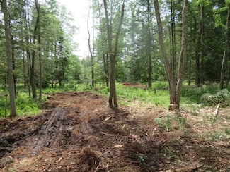 8083 Moose River Rd, Port Leyden, NY 13433