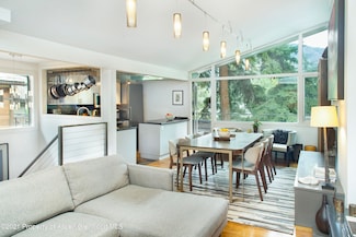 1001 E Cooper Ave Unit 4, Aspen, CO 81611