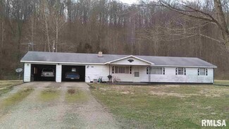 32000 Grapevine Trail, McClure, IL 62957