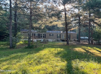 4 Lizie Ln, Mount Olive, MS 39119