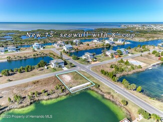 3380 Spanish Bayonet Dr, Hernando Beach, FL 34607