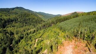 0 N Dubois Rd Unit 1238740, Ariel, WA 98603