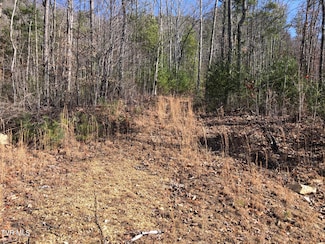 000 Rhea Ln, Mountain City, TN 37683