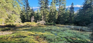30225 Chintzy Ln, Bigfork, MT 59911