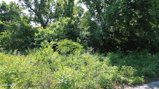 Lot 2 N Willow Rd, Joplin, MO 64801