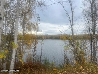1521 N Basie Point Cir, Meadow Lakes, AK 99654