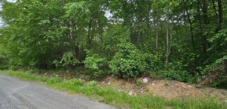 B114 S Sycamore Dr, Penn Forest Township, PA 18229
