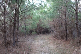 0 Hwy 583 N Unit LotWP001 19718422, Jayess, MS 39641