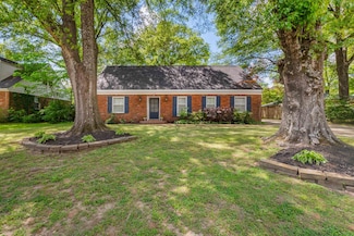 1159 Estate Dr, Memphis, TN 38119