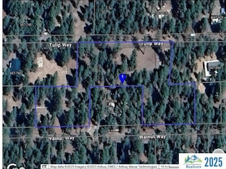 0 Tulip Way, Spaulding, CA 96130
