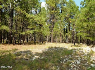 5131 Forest Service Road 137a Rd Unit Prcl40375003B A & B, Happy Jack, AZ 86024
