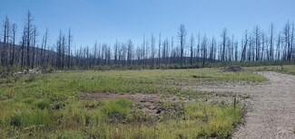 1431 Hassan Ln, Fort Garland, CO 81133