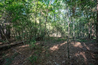 tbd C R 3000, Woodville, TX 75979