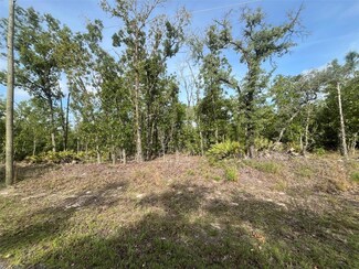 1321 W Delores Dr, Pine Ridge, FL 34434