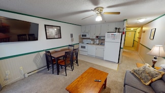 240 Mountain Lodge Ln, Snowshoe, WV 26209