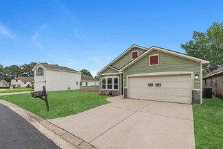 14617 Ophiuchus Ct, Willis, TX 77318