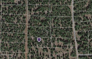 0 Lot 13 Block 19 Unit CV22254000, Alturas, CA 96101