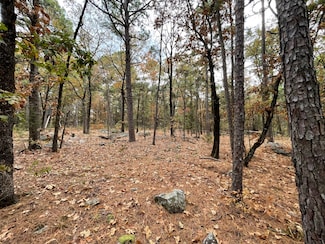 Unit 156 Rd, Moyers, OK 74523