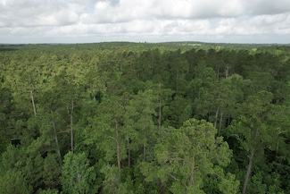 Tbd County Road 4020, Crockett, TX 75835