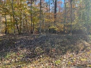 0 Julius Bridge Rd Unit 420233, Ball Ground, GA 30107