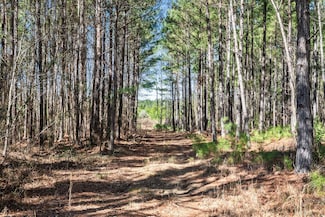 0 Lorenzo Davis Rd, Eastover, SC 29044