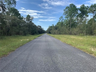 0 SE 136th Terr Lot 9, Morriston, FL 32668