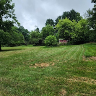 VL Holly Ln, Lodi Township, MI 48176