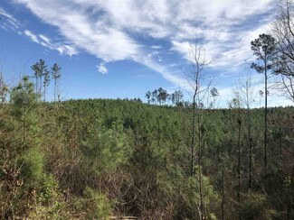 00 Seymour Rd, Kilmichael, MS 39747