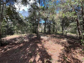 110 Morning Glory Ln, Interlachen, FL 32148
