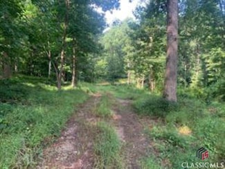 3532 New Bridge Rd, Cleveland, GA 30528