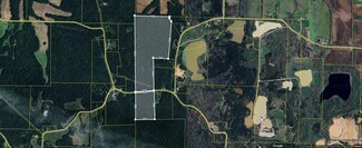 266 Sandhill Dr, Gleason, TN 38229