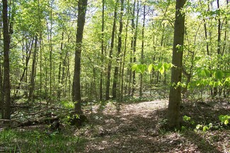 00 Skaggs Rd, Clarkson, KY 42726