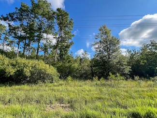 0 W Fm 1013 Unit 22715503, Kirbyville, TX 75956