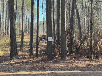 0 Hollands Landing Rd, Prosperity, SC 29127