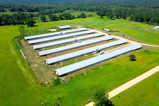 763 Milton Rd, Rutledge, AL 36071