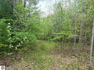 00 Griner Pkwy, Interlochen, MI 49643