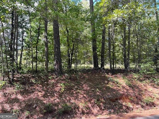 Lot 15 Weems Rd, Molena, GA 30258
