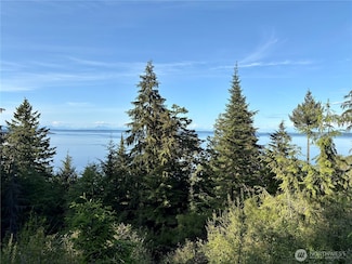 0 Raccoon Point Rd Unit Lot 19 NWM2362102, Eastsound, WA 98245