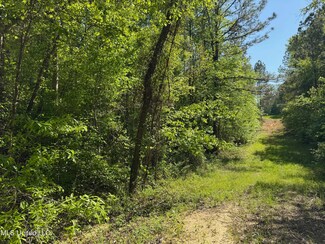 0001 U S Highway 51, West, MS 39192