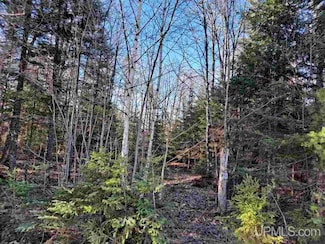 1059 Highland Dr Unit 15, Ishpeming, MI 49849