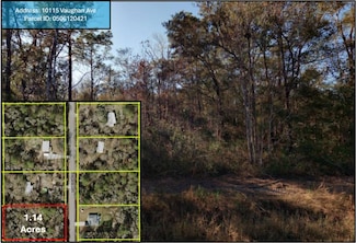 10115 Vaughan Ave, Hastings, FL 32145