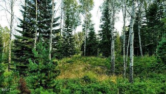 Lot 2 Three Corners Rd S, Trout Creek, MT 59874