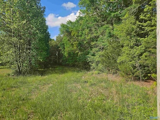 3 Acres Children Ln, Athens, AL 35613