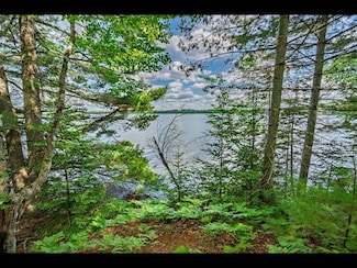 Lot 136 Clearwater Lake Trail, Three Lakes, WI 54521