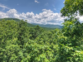 2.55 AC Stover Creek Cove, Blue Ridge, GA 30513