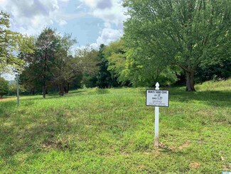 2502 Monte Sano Cove Rd, Huntsville, AL 35741