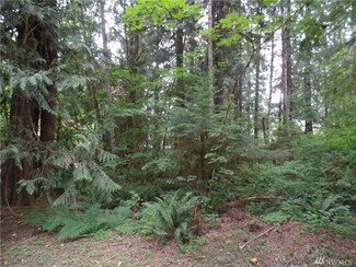 15022 Iceberg Rd, Deming, WA 98244