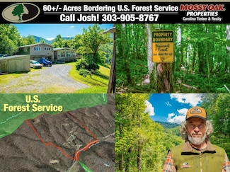 9846 Meadow Fork Rd, Hot Springs, NC 28743