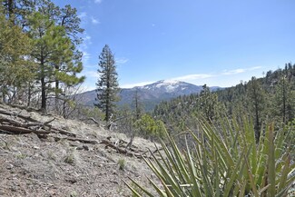 0 Beryl Rd Unit 1033211, Jemez Springs, NM 87025