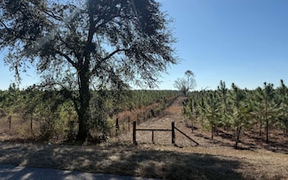 0 NW County Road 290, Mayo, FL 32066